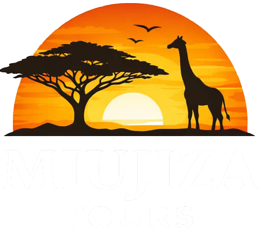 Miujiza Tours
